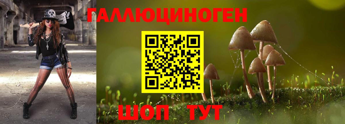 Галлюциногенные грибы MAGIC MUSHROOMS Ногинск